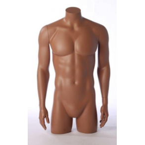 Herre torso med arme