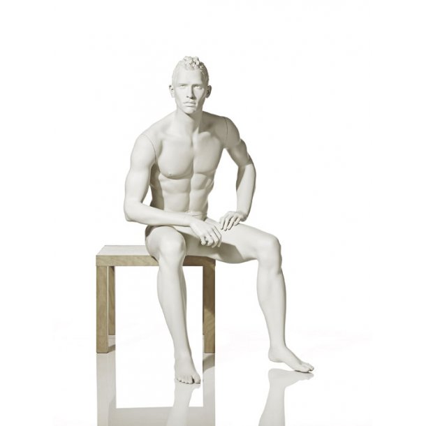 Stilistisk Herre Mannequin